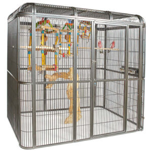 Indoor Aviary for Parrots - African Grey Breeders